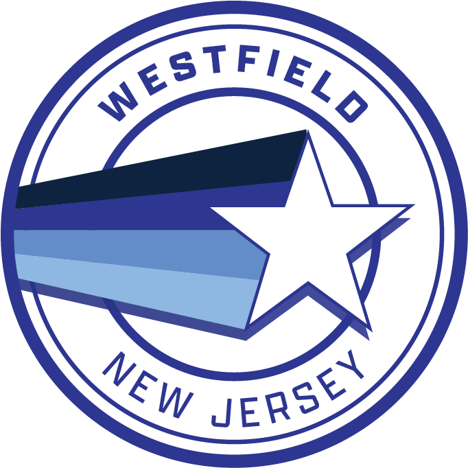 Westfield Shooting Star Women's Cropped Hoodie - Smoke Grey - Resident Threads